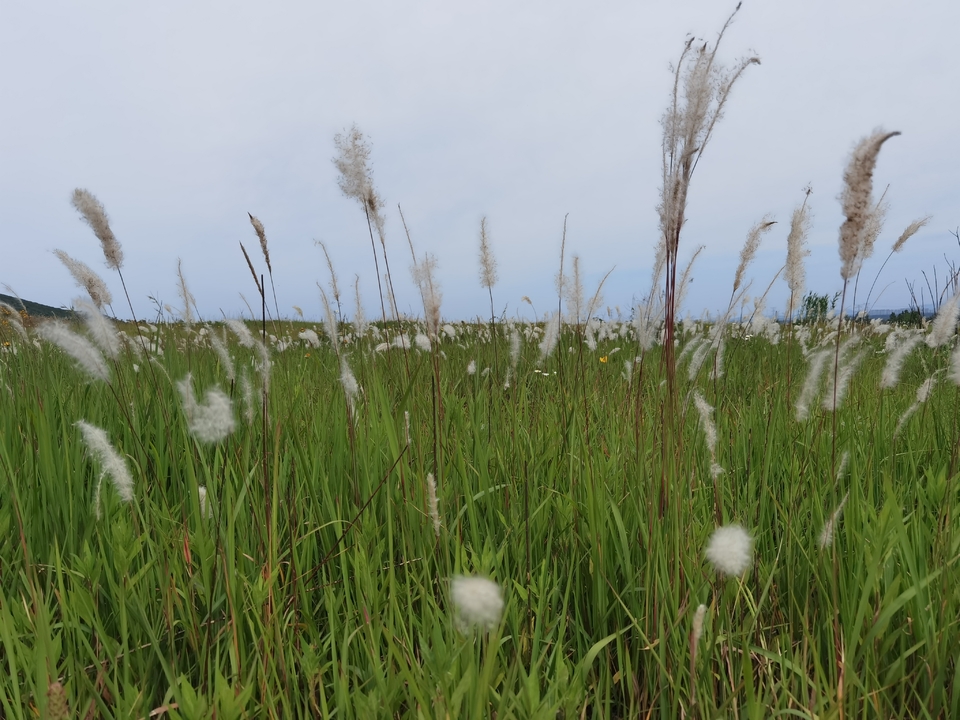 微信图片_20220524224546