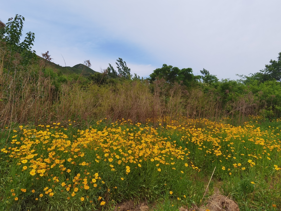 微信图片_20220524224551