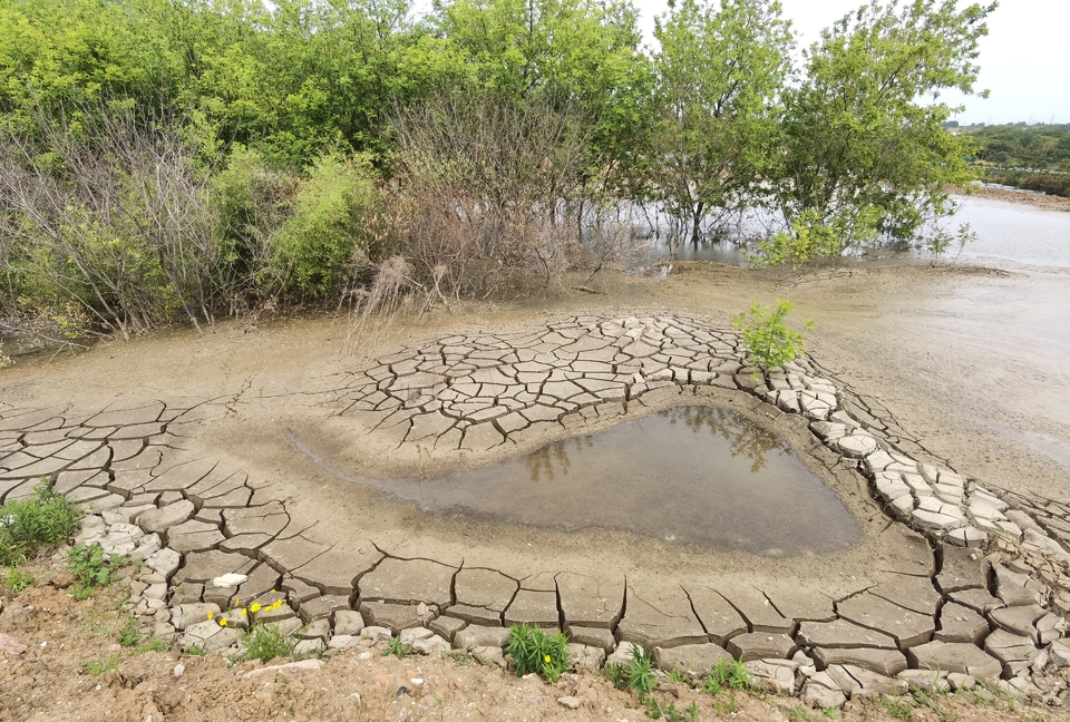 微信图片_20220524224556