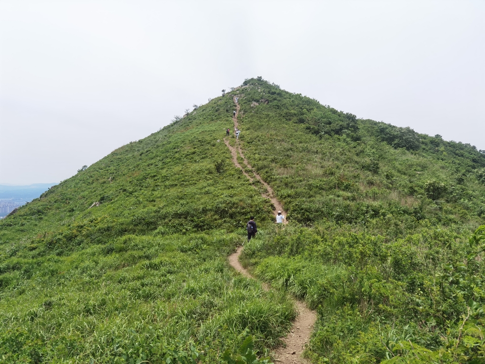 微信图片_20220524224639