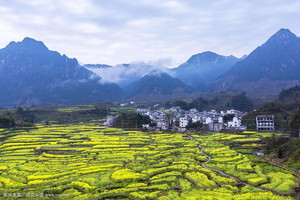 （即将成行）登山徒步 | 03.29 荆磡古道，穿越千年的徽州秘境，金色梯田家朋“油菜花”梯田摄影之旅