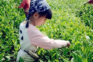 【上午场】04.27南京亲子研学｜“闰余成岁”,陪娃不负春日好时光