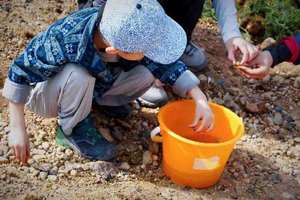 【亲子研学】5.2“寻宝灵岩山，雨花石探秘”——南京亲子捡石活动