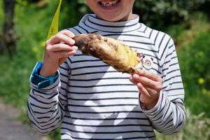 【 旷野研学】6.2打卡伏牛山，九连尖至“南京蓝眼泪”