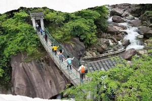 【端午活动】6.8-6.9徽杭古道，亲子访古研学，共享静谧森林与山水