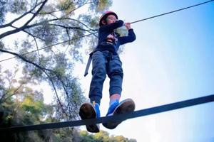 户外技能 | 08.25栖霞山，国际童军技能，森林探险一日营