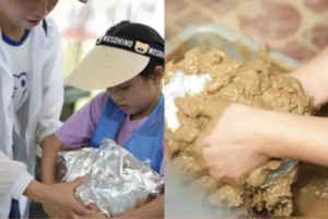 已成行【挖藕制鸡】10.4田园乡畔秋收研学