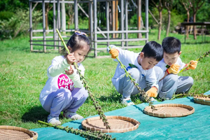 11.02上午【自然研学】玉米科普、搭建灶台、户外烤爆米花|自制芝麻糖