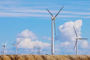 【风的研学】3.9上午扬，探索风的奥秘，做风筝、风力发电