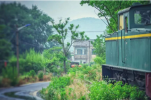 （已成行）徒步系列 | 03.12 春行桦墅射乌山，暧暧远人村，依依墟里烟