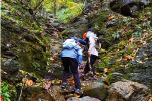 登山系列 | 06.18  红石谷野道穿越，登顶紫金山