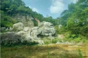 登山系列 |11.20 穿越老山中部环线14公里，感受隐入深山的秋色胜景