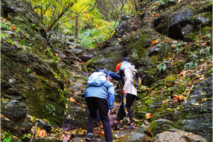 登山系列 | 11.26 红石谷野道穿越，登顶紫金山看落日西沉
