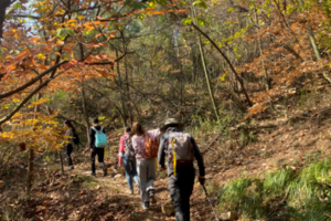 登山系列 | 12.03  穿越老山东线，走寻神秘的不老村