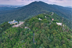 徒步系列 | 12.10 小环钟山风景区17公里，穿越六朝历史，赏烟雨金陵