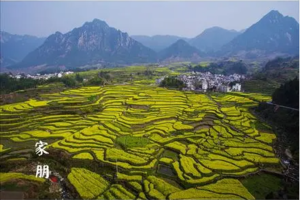赏春必去 | （徽杭免票，限时直降）03.25-03.26「两天一晚 」反穿徽杭古道，到家朋梯田赏油菜花，一睹皖南春色