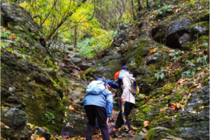 登山系列 | 03.11 红石谷野道穿越，登顶紫金山看落日西沉