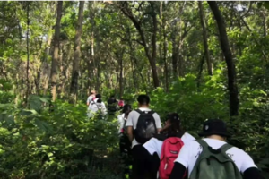 登山系列 | 03.26 穿越野趣十足的老山西线，感受春风吹拂的山林