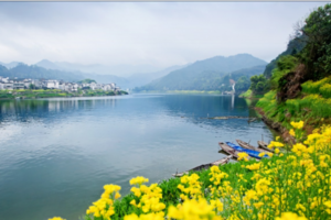 赏春必去 | 04.08-04.09 「二天一晚 」船游新安江山水十里春色画廊，访道家圣地齐云山