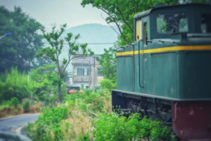 徒步系列 | 04.05 桦墅村•春行，暧暧远人村，依依墟里烟