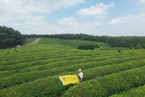 徒步系列 | 04.08 游高淳，赏游子山，在如画的山水间游走