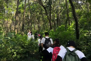 登山系列 | 04.08 人间四月天行老山野性西线，感受春风吹拂的山林