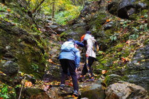 登山系列 | 04.29 红石谷野道穿越，登顶紫金山，漫步紫金风景区
