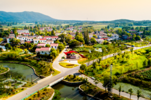 美丽乡村 | 07.08 走进绿水青山间的红色精神地李巷，采摘蓝莓，漫步石臼湖的夕阳