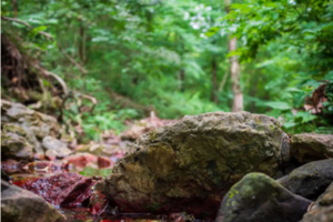 登山徒步 | 12.19 紫金山野道乱穿，行走红石谷，游览冬日紫金风光
