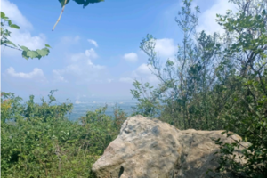 登山系列 | 10.05 武岐山空青山环线，领略悠远迷人的古茶道文化