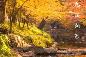 徒步系列 | 11.25 寻秋九溪十八涧，龙井茶园，行走云栖竹径秋意浓