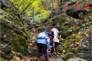 登山系列 | 12.02 紫金山红石谷野道穿越，游览秋日紫金风光