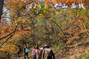 登山系列 | 12.03 穿越野趣十足的老山西线，感受春风吹拂的山林