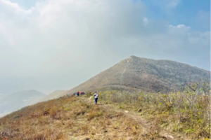 登山徒步 | 01.27 穿越九连尖，行走华东小武功山黄色or白色山脊