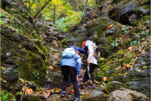 登山系列 | 12.26 紫金山红石谷野道穿越，游览冬日紫金风光