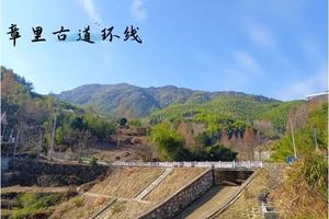 登山系列 | 01.13 探秘黄金山章里古道环线，登黄金山巅观云海，观飞流悬瀑挂银丝