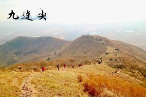 登山系列 | 02.24 登高穿越九连尖，行走华东小武功山黄色山脊