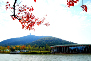 02.27 行走秋湖山到傅家边，置身十里梅林