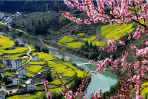 赏春必去 | 03.09 石潭花海环线，盛开满山油菜花和桃花，走进皖南春天的立体画卷