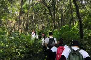 登山系列 | 03.10 穿越野趣十足的老山西线，感受春风吹拂的山林