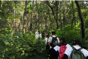 登山系列 | 03.28 行走狮子岭环线，感受春风吹拂的山林