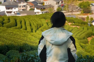 （公众号文章入口报名）赏春必去 | 03.30 徒步九溪十八涧，龙井茶园踏青