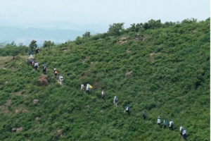 登山系列 | 04.06 穿越春色九连尖，行走华东小武功山，解锁伏牛山蓝色海子口新路线