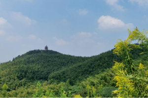 登山徒步 | 04.02 徒步江宁直山，山野林间寻一处竹海，乘一曲清风