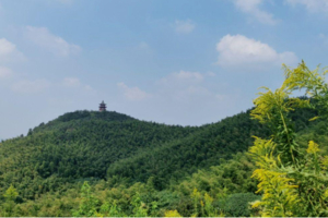 登山徒步 | 04.11 徒步江宁直山，山野林间寻一处竹海，乘一曲清风