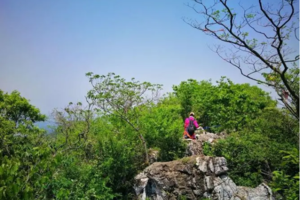 登山系列 | 04.21 人间四月天，穿越野趣十足的老山西线，感受春风吹拂的山林