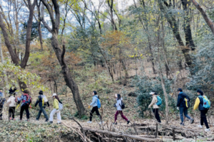 登山系列 | 04.25 紫金山红石谷野道穿越，游览春色紫金风光