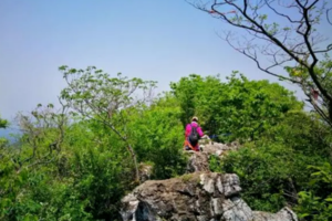 登山系列 | 05.29 穿越野趣十足的老山西线，感受春风吹拂的山林