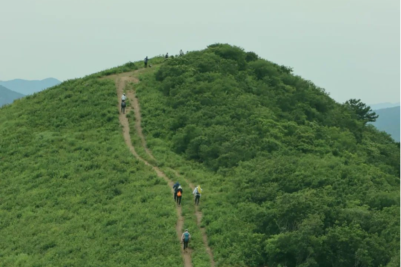 登山徒步 | 05.01 穿越春色九连尖，置身漫山草甸，打卡矿坑小蓝湖