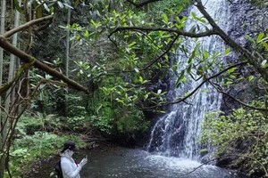 （已成行）徒步登山 | 09.13 徒步安吉菖蒲谷，穿越原始峡谷，五瀑连穿，碧潭幽深，翠竹掩映